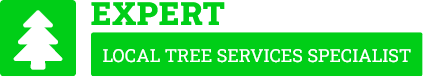Palmerston North Tree Cutting - Tree Removal Palmerston North